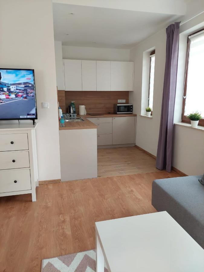 Apartamenty Zdrojowe Nałęczów Buitenkant foto